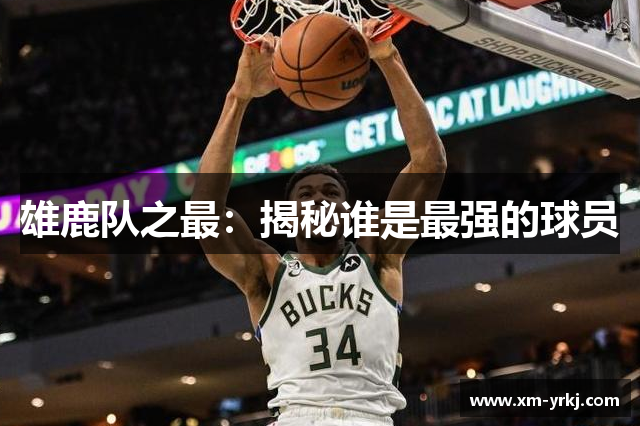 雄鹿队之最：揭秘谁是最强的球员